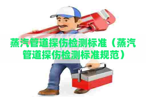 蒸汽管道探伤检测标准（蒸汽管道探伤检测标准规范）