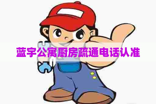 蓝宇公寓厨房疏通电话认准