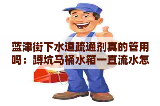 蓝津街下水道疏通剂真的管用吗:蹲坑马桶水箱一直流水怎么修 蓝津街下水道疏通剂真的管用吗:蹲坑马桶水箱一直流水怎么修