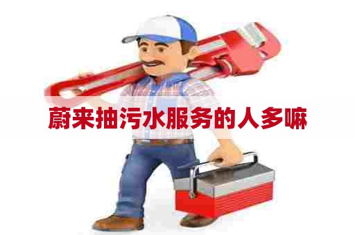蔚来抽污水服务的人多嘛 蔚来抽污水服务的人多嘛