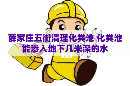 薛家庄五街清理化粪池 化粪池能渗入地下几米深的水