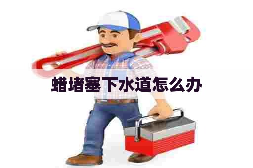 蜡堵塞下水道怎么办