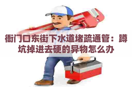 衙门口东街下水道堵疏通管:蹲坑掉进去硬的异物怎么办 衙门口东街下水道堵疏通管:蹲坑掉进去硬的异物怎么办