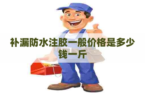 补漏防水注胶一般价格是多少钱一斤