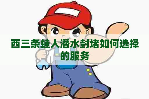 西三条蛙人潜水封堵如何选择的服务