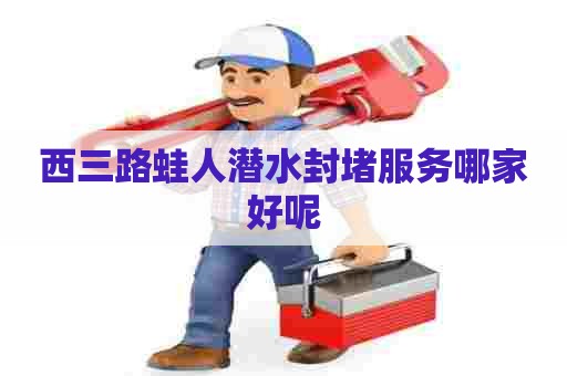 西三路蛙人潜水封堵服务哪家好呢