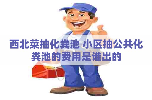 西北菜抽化粪池 小区抽公共化粪池的费用是谁出的