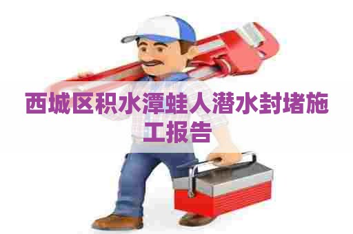 西城区积水潭蛙人潜水封堵施工报告