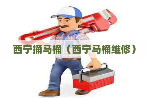 西宁捅马桶（西宁马桶维修）