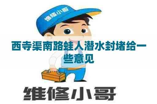 西寺渠南路蛙人潜水封堵给一些意见