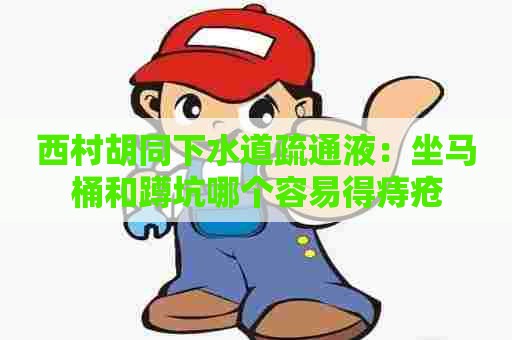 西村胡同下水道疏通液：坐马桶和蹲坑哪个容易得痔疮