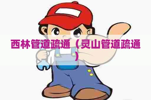 西林管道疏通（灵山管道疏通）