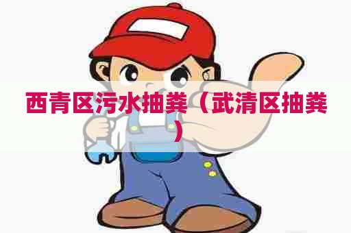 西青区污水抽粪（武清区抽粪）