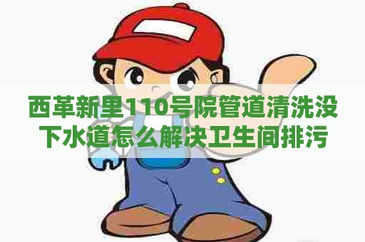 西革新里110号院管道清洗没下水道怎么解决卫生间排污