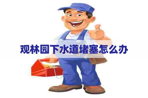 观林园下水道堵塞怎么办