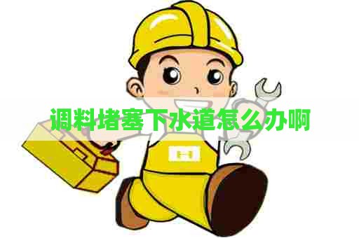 调料堵塞下水道怎么办啊