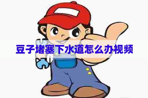 豆子堵塞下水道怎么办视频