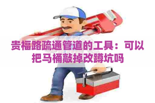 贵福路疏通管道的工具：可以把马桶敲掉改蹲坑吗