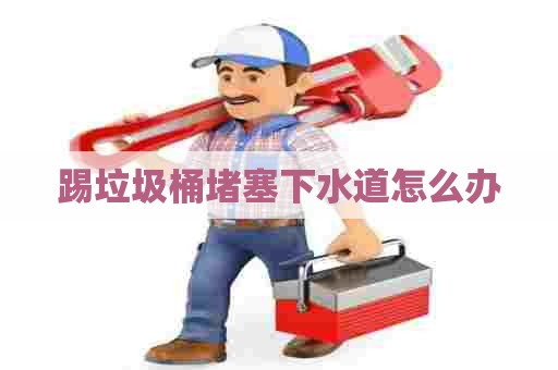 踢垃圾桶堵塞下水道怎么办