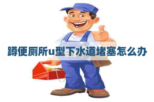 蹲便厕所u型下水道堵塞怎么办