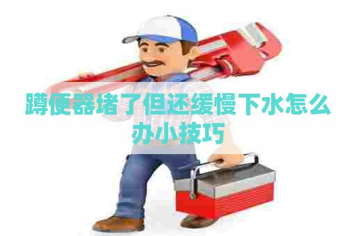 蹲便器堵了但还缓慢下水怎么办小技巧