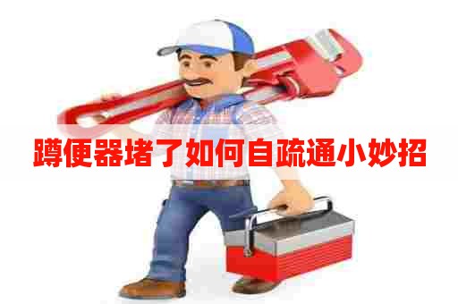 蹲便器堵了如何自疏通小妙招