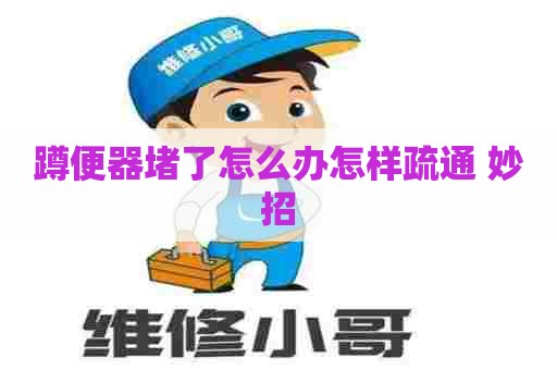 蹲便器堵了怎么办怎样疏通 妙招