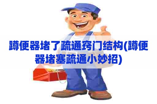 蹲便器堵了疏通窍门结构(蹲便器堵塞疏通小妙招)