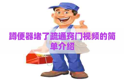 蹲便器堵了疏通窍门视频的简单介绍