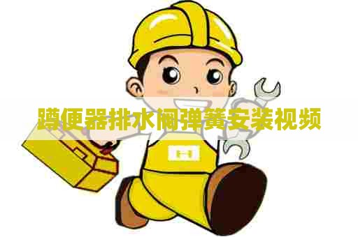 蹲便器排水阀弹簧安装视频