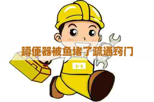蹲便器被鱼堵了疏通窍门