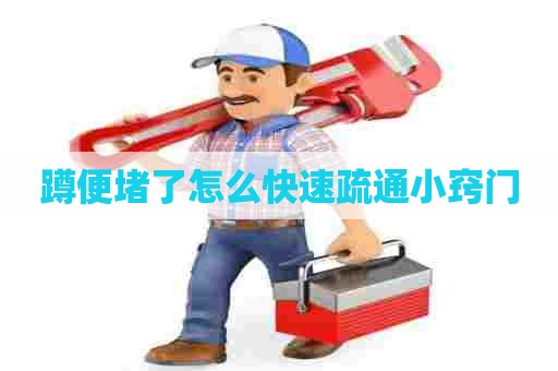 蹲便堵了怎么快速疏通小窍门