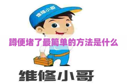 蹲便堵了最简单的方法是什么