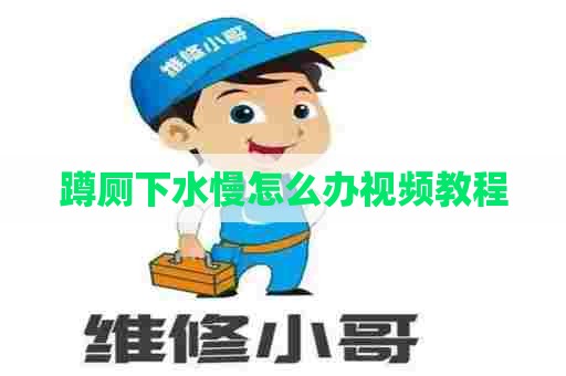 蹲厕下水慢怎么办视频教程