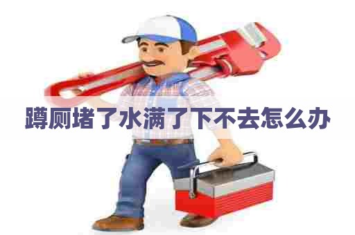 蹲厕堵了水满了下不去怎么办
