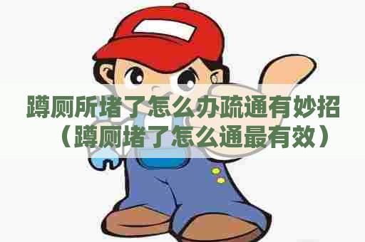 蹲厕所堵了怎么办疏通有妙招(蹲厕堵了怎么通最有效) 蹲厕所堵了怎么办疏通有妙招(蹲厕堵了怎么通最有效)