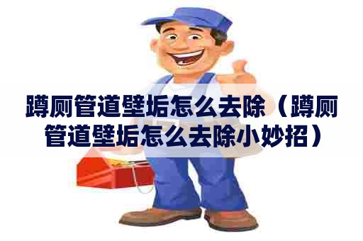 蹲厕管道壁垢怎么去除（蹲厕管道壁垢怎么去除小妙招）