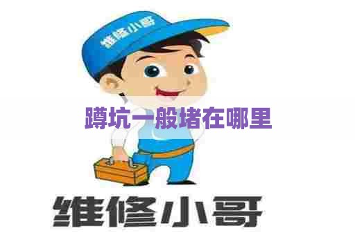 蹲坑一般堵在哪里