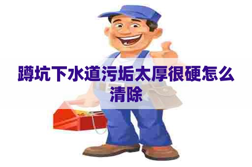 蹲坑下水道污垢太厚很硬怎么清除
