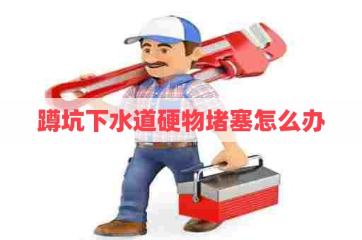 蹲坑下水道硬物堵塞怎么办