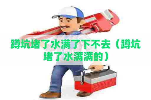 蹲坑堵了水满了下不去(蹲坑堵了水满满的) 蹲坑堵了水满了下不去(蹲坑堵了水满满的)