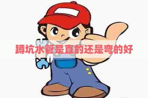 蹲坑水管是直的还是弯的好