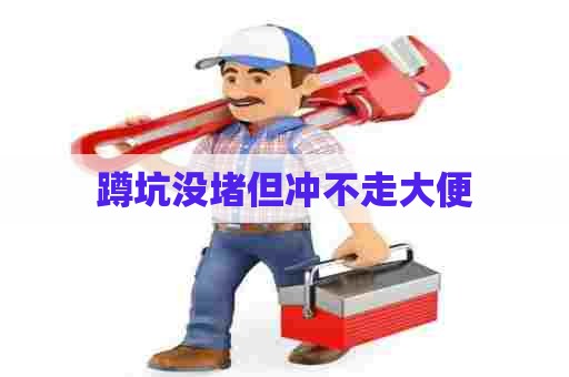 蹲坑没堵但冲不走大便