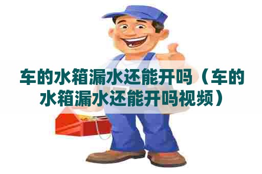 车的水箱漏水还能开吗（车的水箱漏水还能开吗视频）