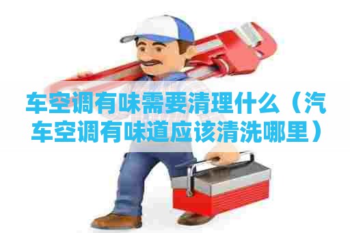 车空调有味需要清理什么（汽车空调有味道应该清洗哪里）