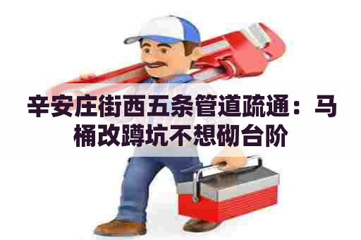 辛安庄街西五条管道疏通:马桶改蹲坑不想砌台阶 辛安庄街西五条管道疏通:马桶改蹲坑不想砌台阶