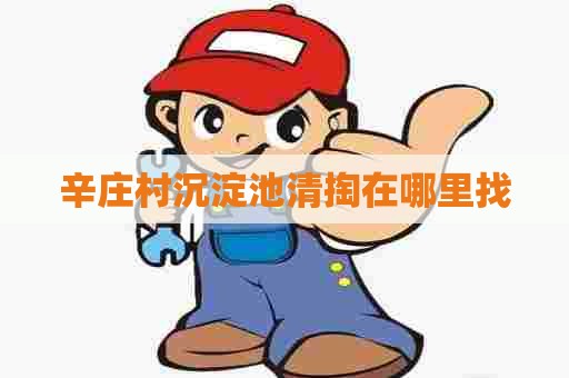 辛庄村沉淀池清掏在哪里找