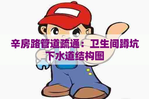 辛房路管道疏通:卫生间蹲坑下水道结构图 辛房路管道疏通:卫生间蹲坑下水道结构图