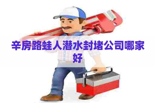 辛房路蛙人潜水封堵公司哪家好