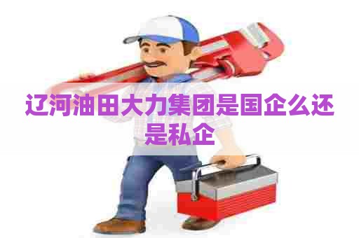 辽河油田大力集团是国企么还是私企
